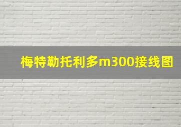 梅特勒托利多m300接线图