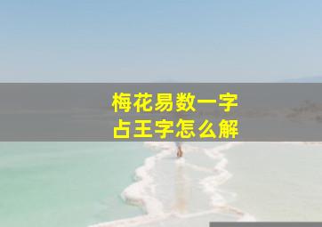 梅花易数一字占王字怎么解