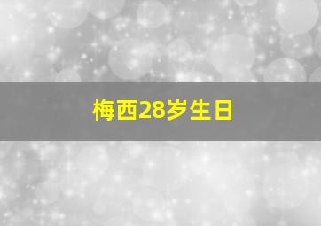 梅西28岁生日