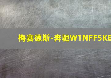 梅赛德斯-奔驰W1NFF5KE