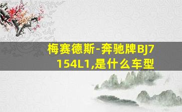 梅赛德斯-奔驰牌BJ7154L1,是什么车型