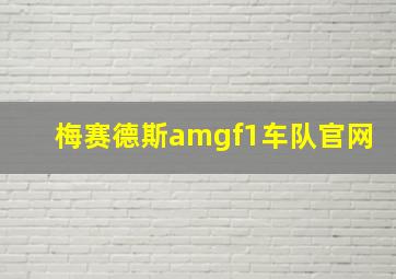 梅赛德斯amgf1车队官网