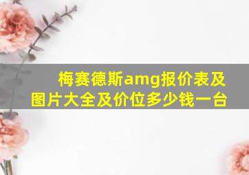 梅赛德斯amg报价表及图片大全及价位多少钱一台