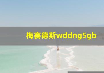 梅赛德斯wddng5gb