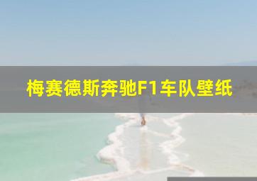 梅赛德斯奔驰F1车队壁纸