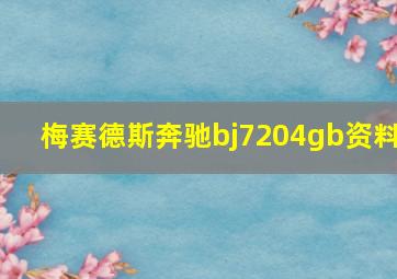 梅赛德斯奔驰bj7204gb资料