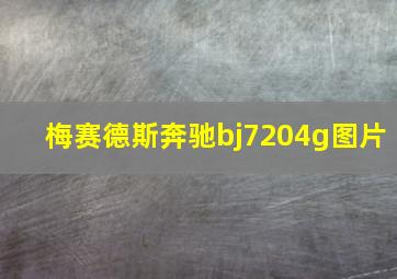 梅赛德斯奔驰bj7204g图片