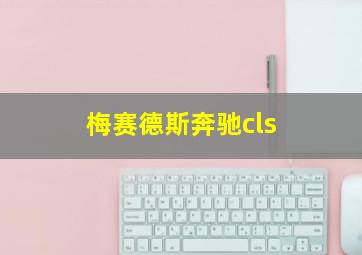 梅赛德斯奔驰cls