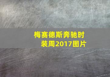 梅赛德斯奔驰时装周2017图片