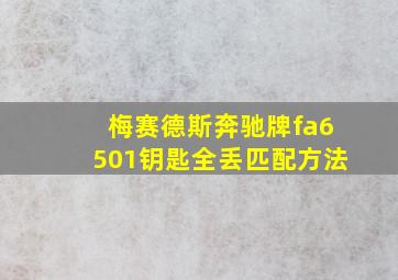 梅赛德斯奔驰牌fa6501钥匙全丢匹配方法