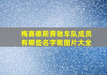 梅赛德斯奔驰车队成员有哪些名字呢图片大全