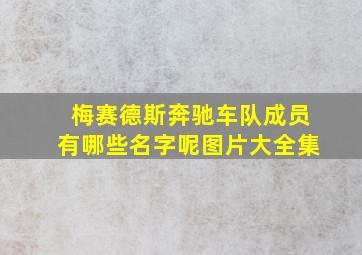 梅赛德斯奔驰车队成员有哪些名字呢图片大全集