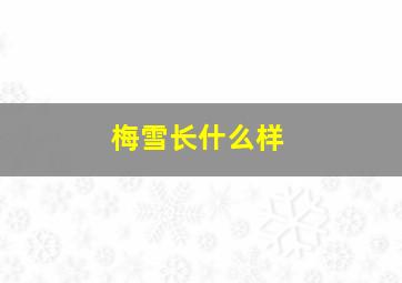 梅雪长什么样