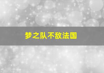 梦之队不敌法国