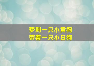 梦到一只小黄狗带着一只小白狗