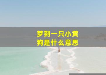 梦到一只小黄狗是什么意思