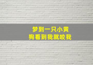 梦到一只小黄狗看到我就咬我