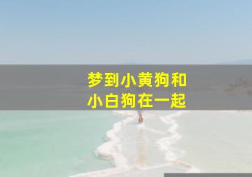 梦到小黄狗和小白狗在一起