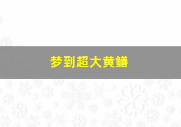 梦到超大黄鳝