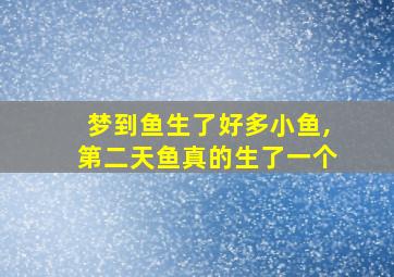 梦到鱼生了好多小鱼,第二天鱼真的生了一个