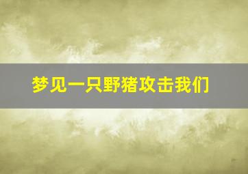 梦见一只野猪攻击我们