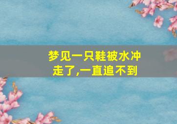 梦见一只鞋被水冲走了,一直追不到