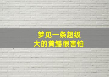 梦见一条超级大的黄鳝很害怕