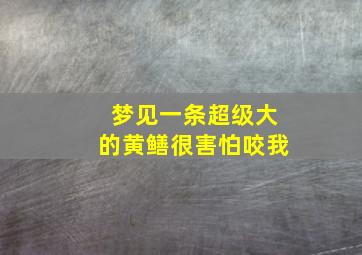 梦见一条超级大的黄鳝很害怕咬我