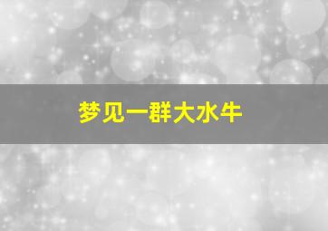 梦见一群大水牛