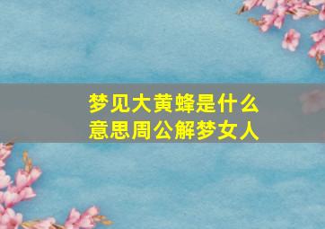 梦见大黄蜂是什么意思周公解梦女人