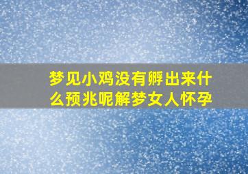 梦见小鸡没有孵出来什么预兆呢解梦女人怀孕