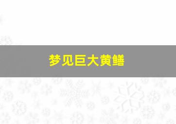 梦见巨大黄鳝