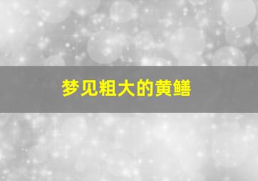 梦见粗大的黄鳝