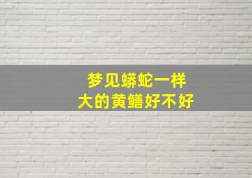 梦见蟒蛇一样大的黄鳝好不好