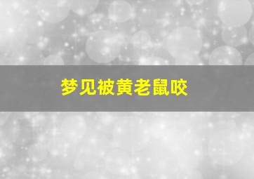 梦见被黄老鼠咬