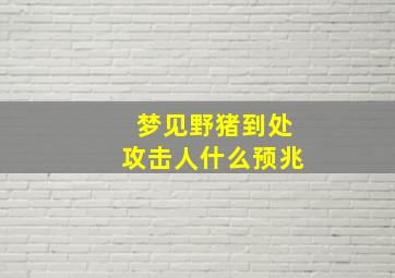 梦见野猪到处攻击人什么预兆