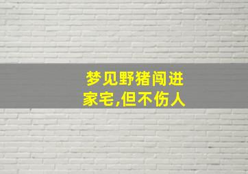 梦见野猪闯进家宅,但不伤人