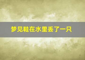 梦见鞋在水里丢了一只