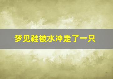 梦见鞋被水冲走了一只