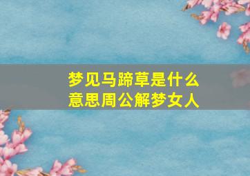 梦见马蹄草是什么意思周公解梦女人