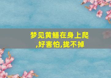 梦见黄鳝在身上爬,好害怕,拢不掉