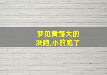 梦见黄鳝大的没跑,小的跑了