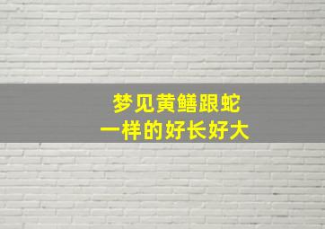 梦见黄鳝跟蛇一样的好长好大