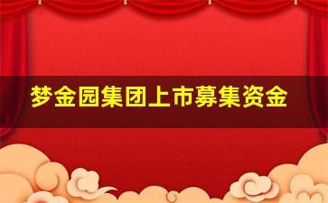 梦金园集团上市募集资金