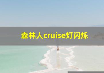 森林人cruise灯闪烁