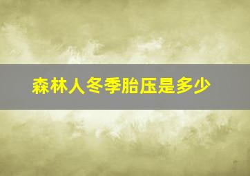 森林人冬季胎压是多少