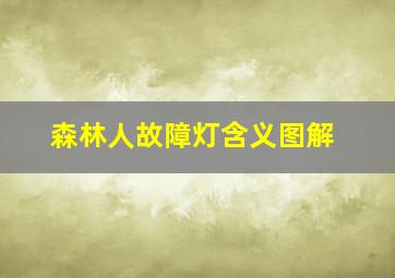 森林人故障灯含义图解