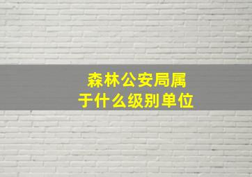 森林公安局属于什么级别单位