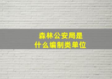 森林公安局是什么编制类单位