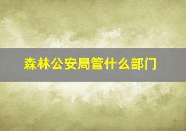 森林公安局管什么部门